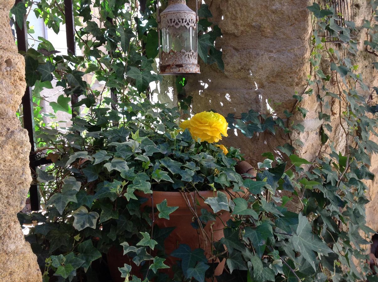 Un Patio En Luberon